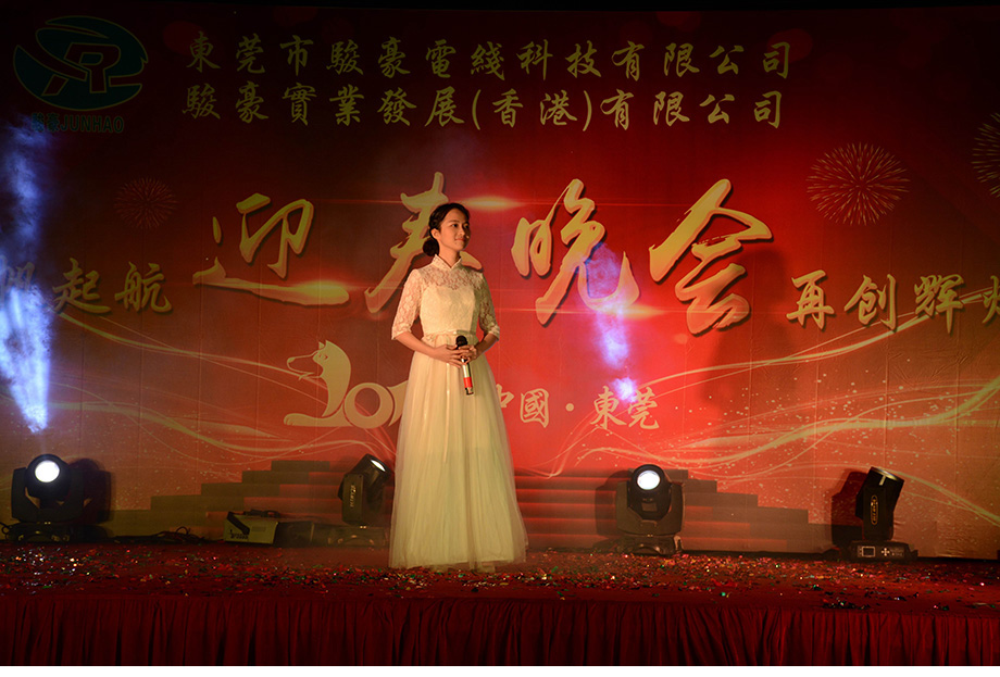 1-1P1300T43b05 东升国际(中国区)有限公司-官方网站