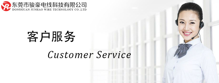 东升国际电线客户服务中心