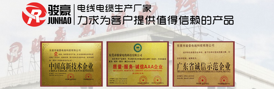 1-1P411113K0431 东升国际电线荣誉证书展示