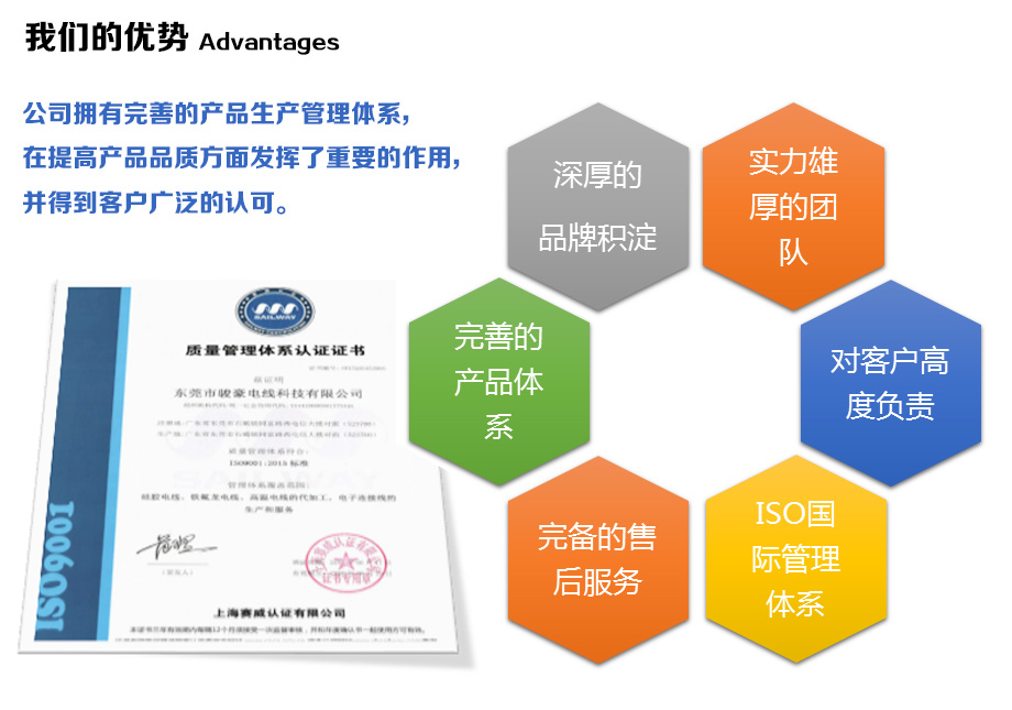 1-1Z110100943E4 东升国际电线的优势
